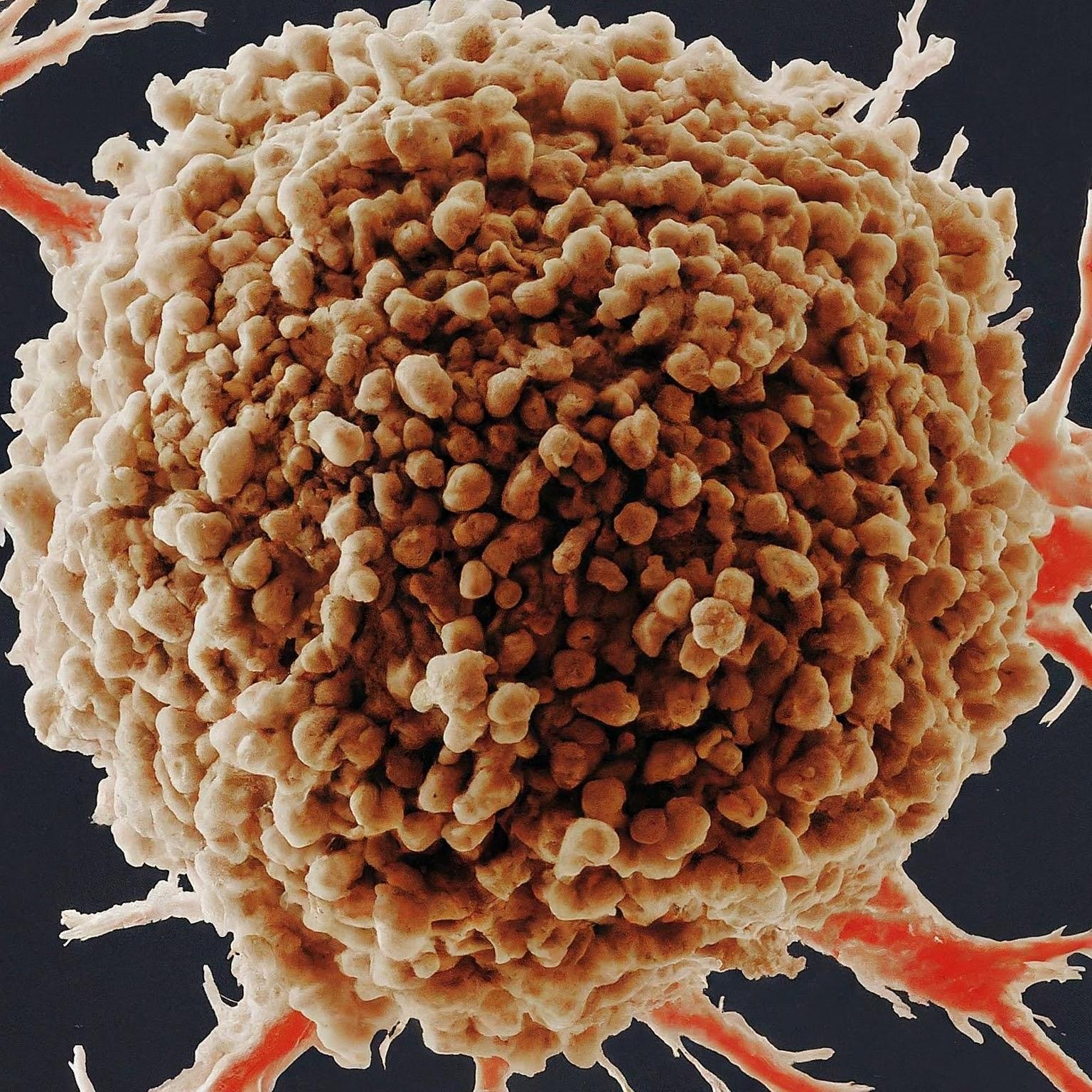 Genomic Research